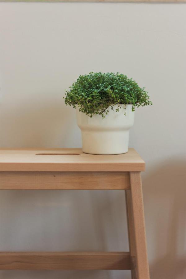 City Garden Apartment 波雷奇 外观 照片